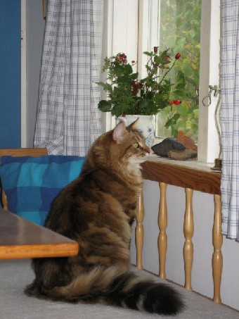 soffa.jpg